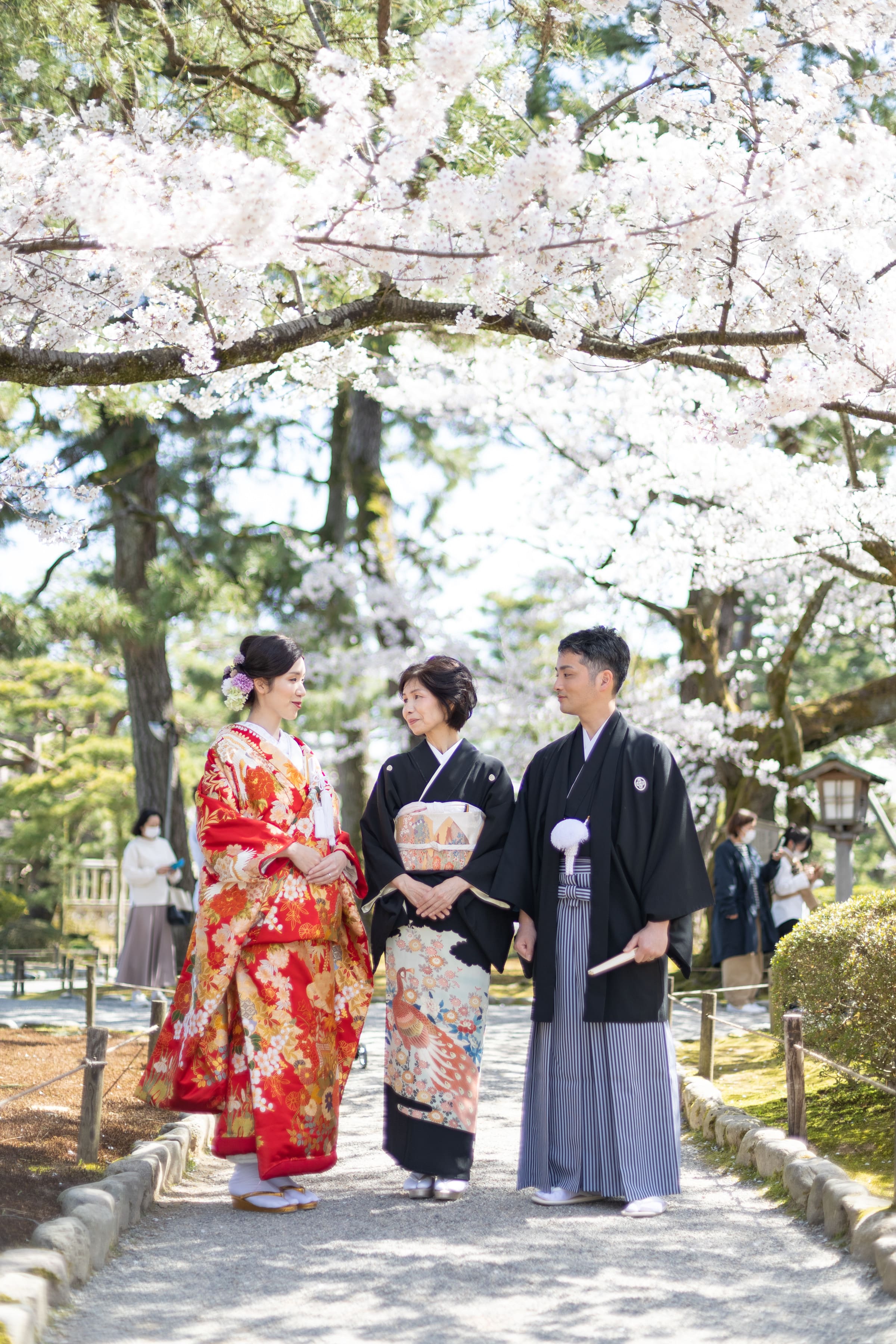 １年に１度のチャンス！！✿✿桜ロケーションフォトのご案内✿✿
